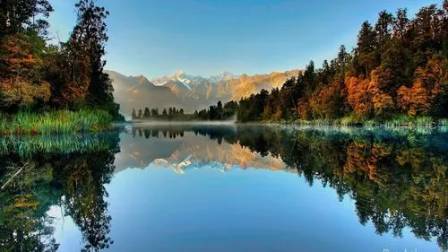 全自动高标准先进